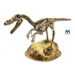 Scheletro di Velociraptor da assemblare