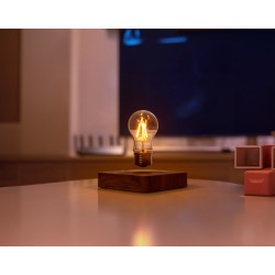 Lampadina levitante
