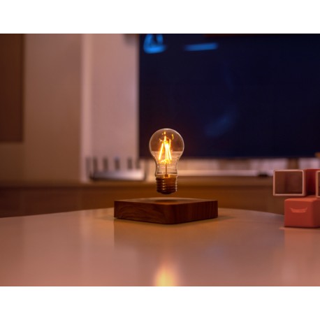 Lampadina levitante